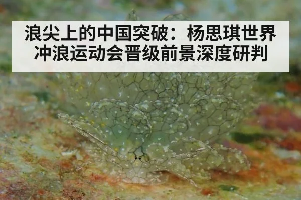 浪尖上的中国突破:杨思琪世界冲浪运动会晋级前景深度研判